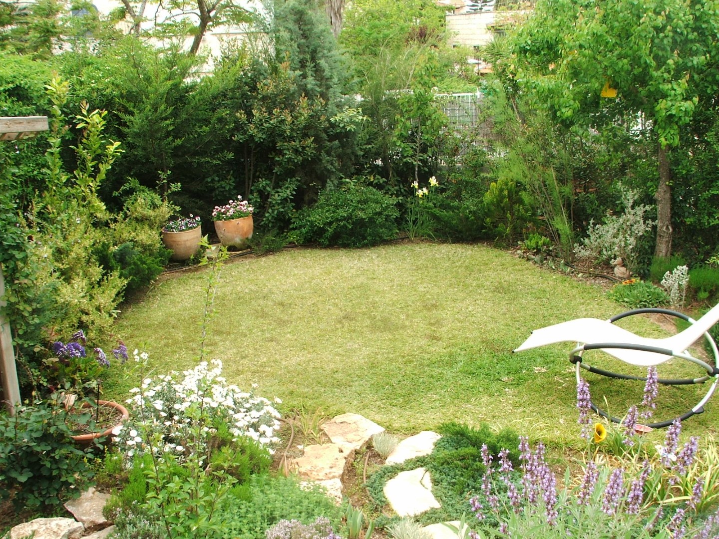 מדשאה חמודה